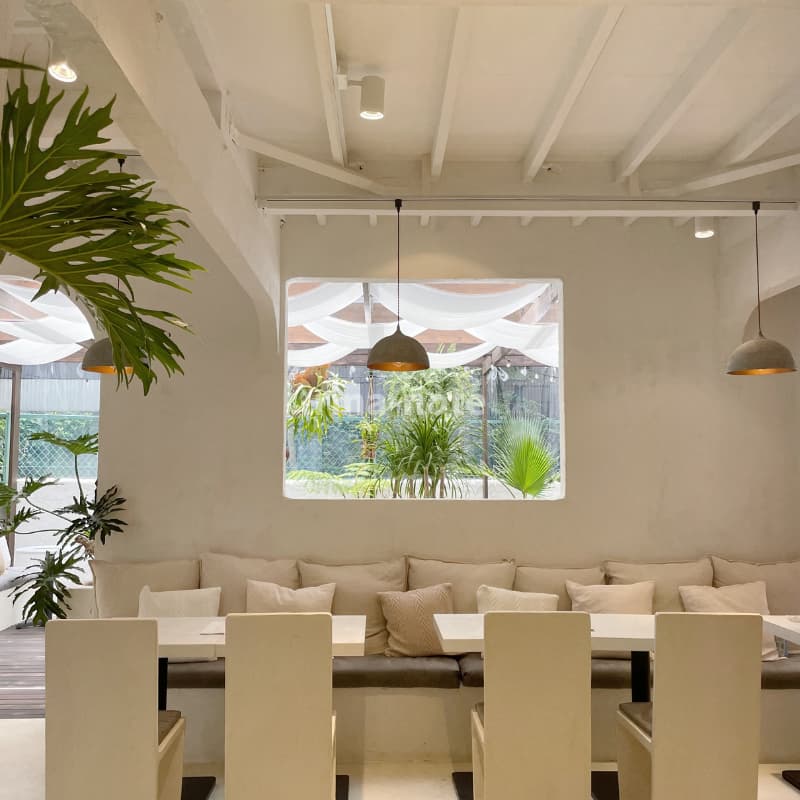 表参道カフェ T Cafe ペットok 海外のようなカフェが新規オープン Rina Note 表参道カフェ T Cafe ペットok 海外のようなカフェが新規オープン Rina Note