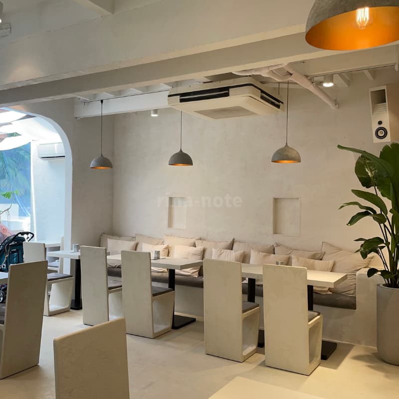 表参道カフェ T Cafe ペットok 海外のようなカフェが新規オープン Rina Note