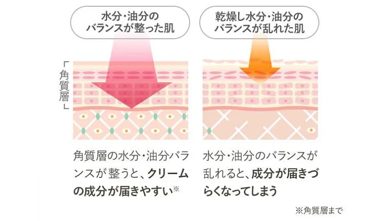 ノコアのオイル特徴