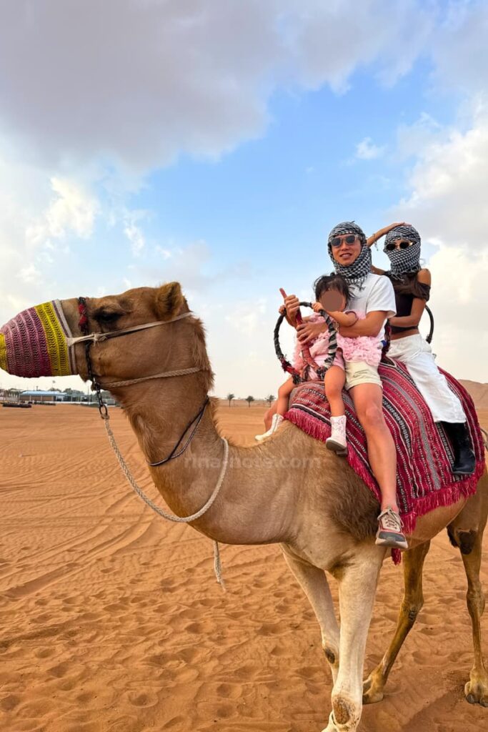 ドバイの砂漠でラクダに乗るデザートサファリ体験