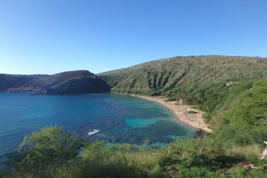 ハナウマベイ シュノーケリングが楽しめるハワイの人気ビーチ