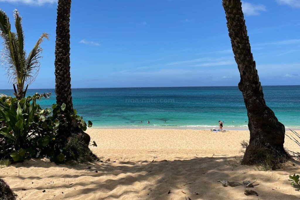 ノースショアのビーチ ハワイ 夏は穏やかで子連れでも遊べる海