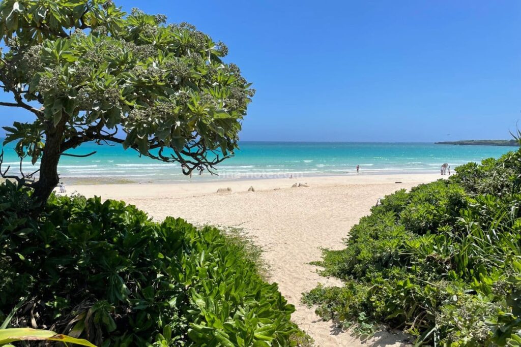 渡口の浜 宮古島 白い砂浜が広がる美しいビーチ